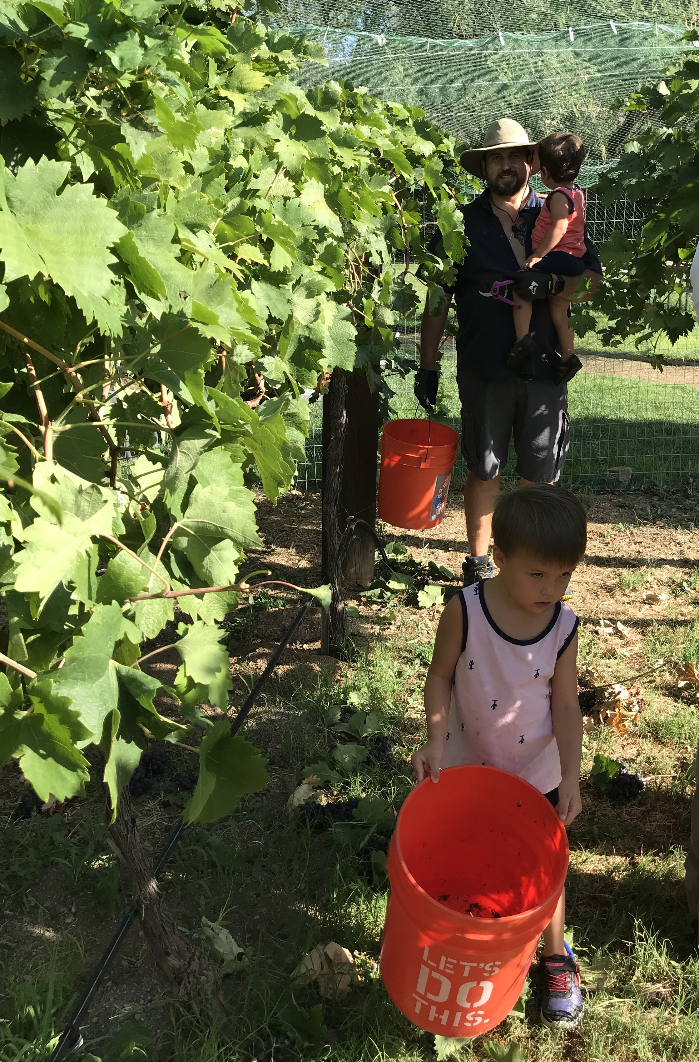 harvest at Javelina Leap 